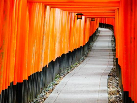 【添乗員同行/船中泊/小倉発】 往復 阪九フェリーで行く! 紅葉の世界遺産と清水寺・嵐山散策・伏見稲荷大社・北野天満宮 3日間2